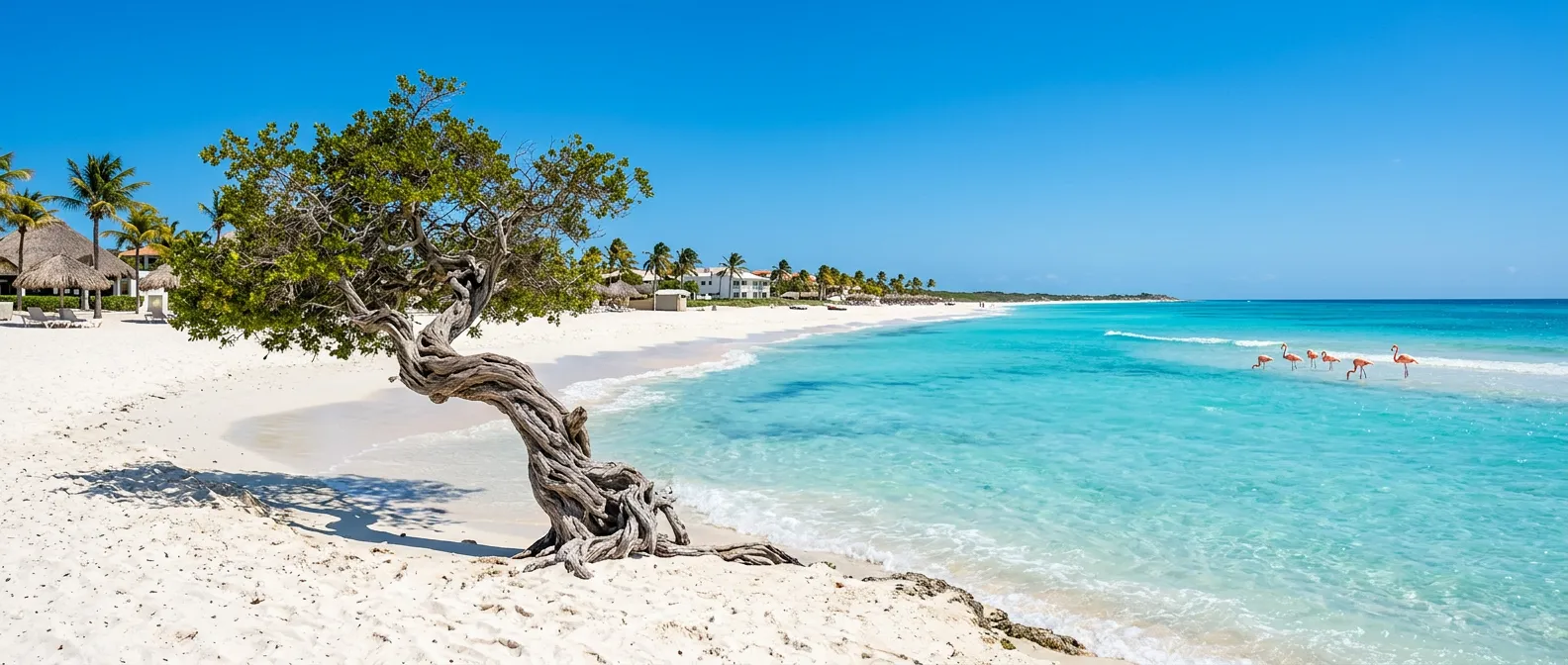 Aruba - OLE Travel