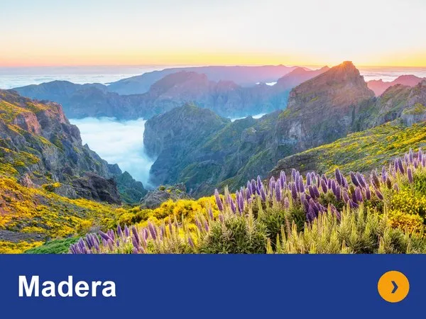 Madera – wakacje