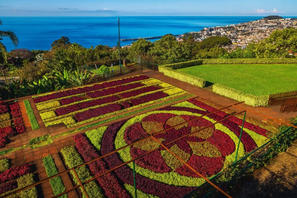 ogród botaniczny w Funchal z widokiem na miasto